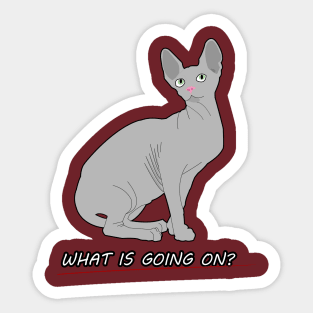 Sphinx Cat Sticker